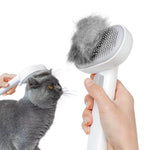 brosse anti-poile